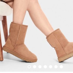 SIZE 7 CLASSIC CHESTNUT UGGS